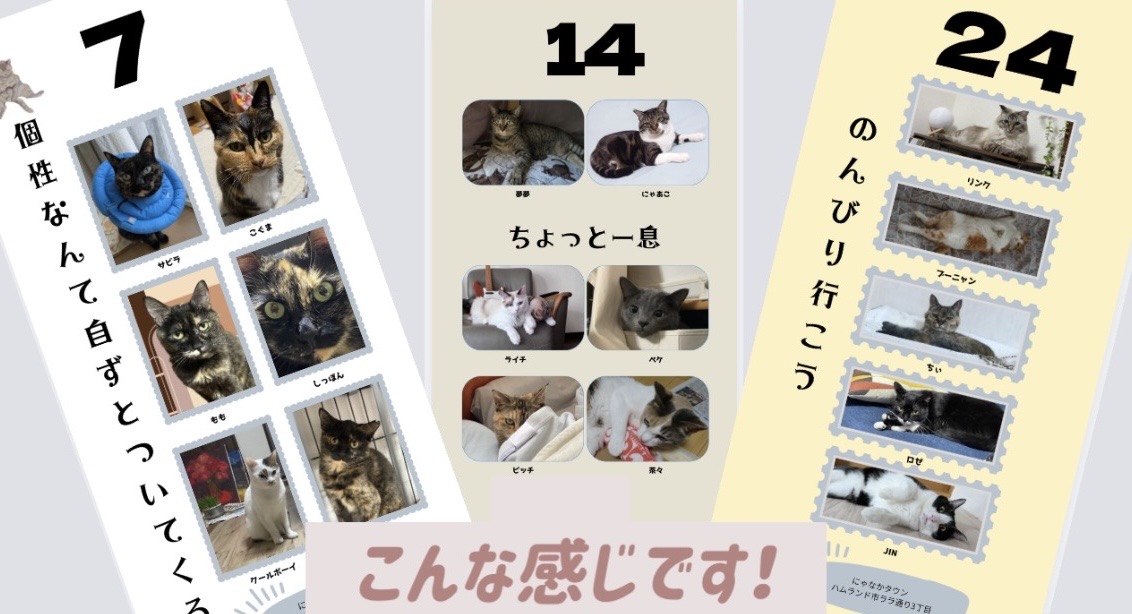 注目です!オリジナル日めくりカレンダー予約販売中!!!