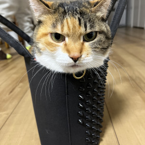 あめ