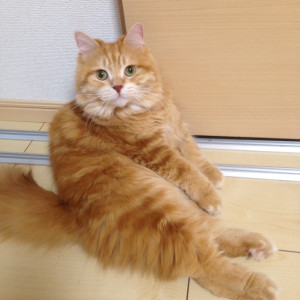 くう