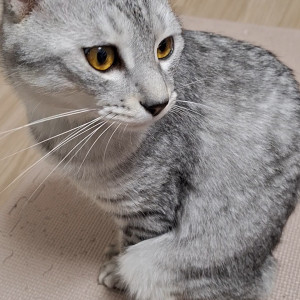 あめ