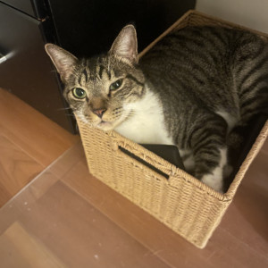 つむぎ