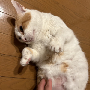 開