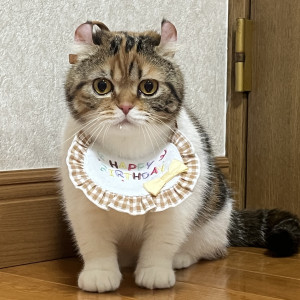 メルちゃん