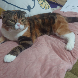 なつ