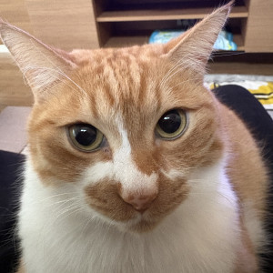 ユーリ