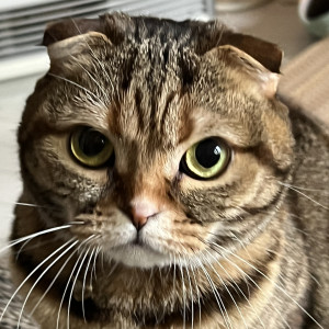 くるみ